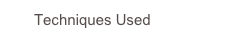       Techniques Used                   